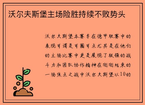 沃尔夫斯堡主场险胜持续不败势头