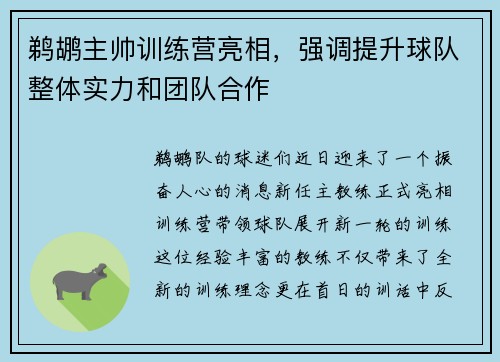 鹈鹕主帅训练营亮相，强调提升球队整体实力和团队合作